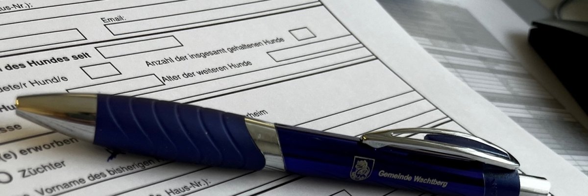 Ein Formular und ein Kugelschreiber