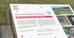 Informationstafel des Naturschutzgebiets Rodderberg
