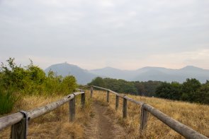 2018 Herbst Wachtberg Wald