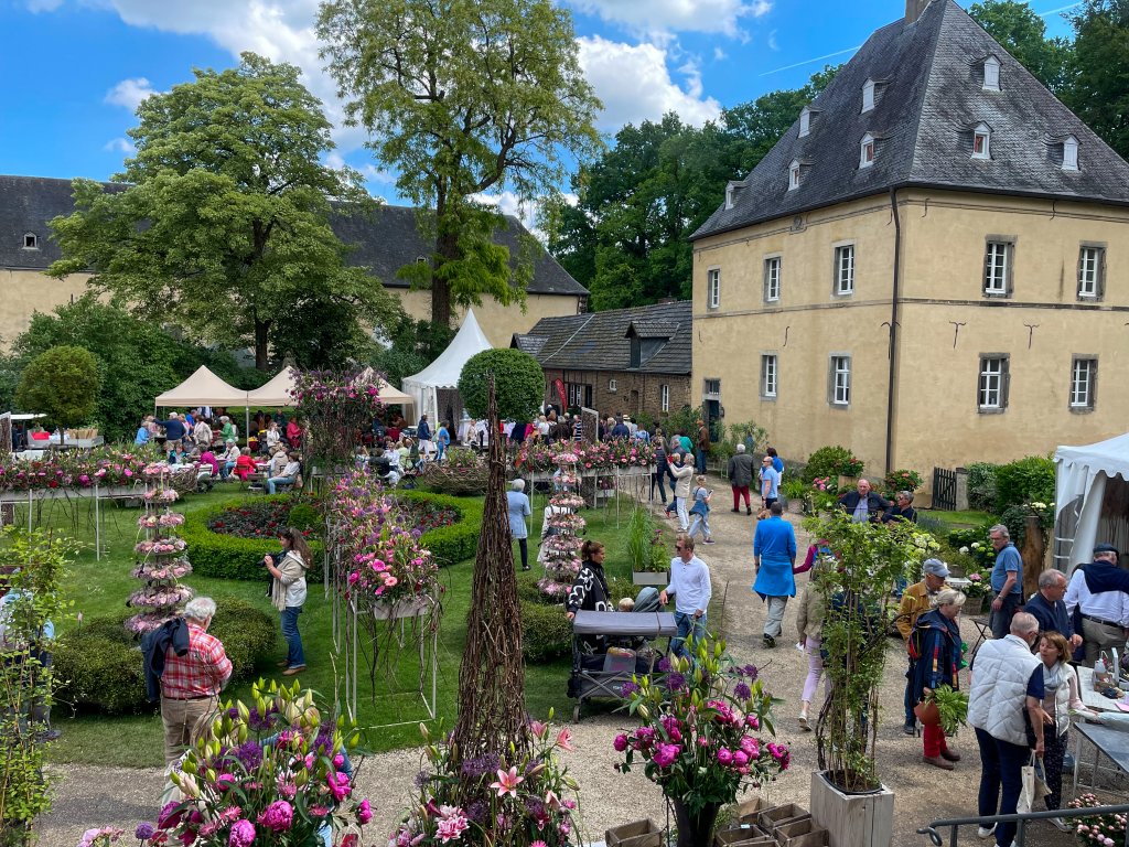 2022 Sommer Wachtberg 2022 Sommer Wachtberg