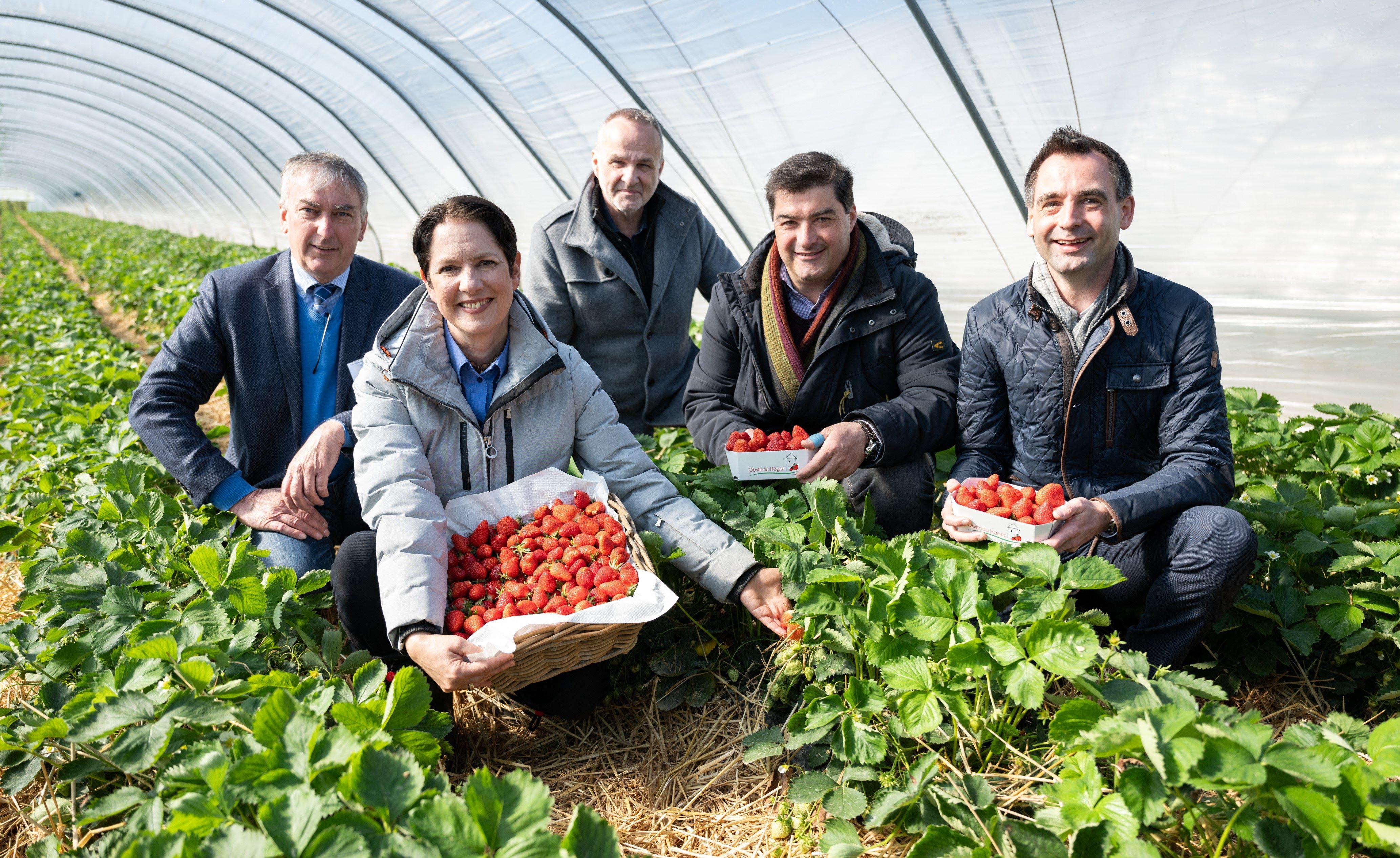Gruppe um Ministerin Gorißen, Erdbeerkörbe haltend, auf Erdbeerfeld.