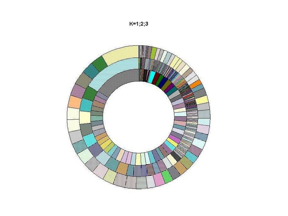 Kreis mit bunten Farbfeldern