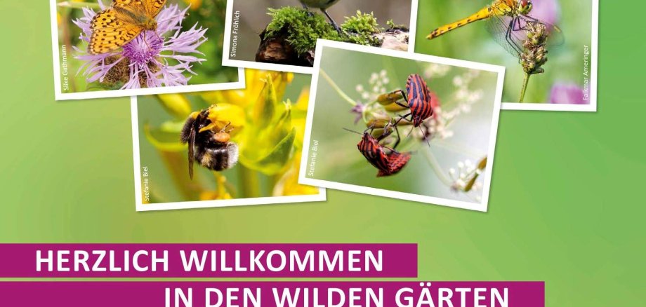 Offene Gartenpforte der Naturgärten am 18. Juni 2023 (Plakat-Ausschnitt)