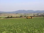 Landwirtschaft in Wachtberg - Rübenernte