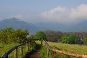 Rodderberg - Blick auf den Drachenfels. (Foto: Heinz Contzen)