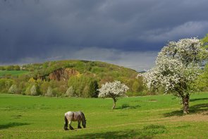 Blick auf den Dächelsberg. (Foto: Heinz Contzen)